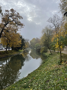 903644 Gezicht op de Stadsbuitengracht te Utrecht, ter hoogte van de Maliesingel (links) en het Hieronymusplantsoen.